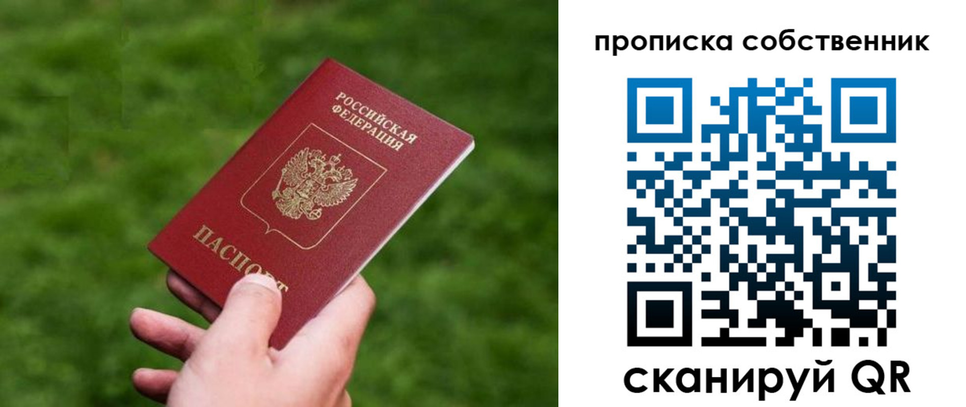 временная регистрация поиск в Ивантеевке
